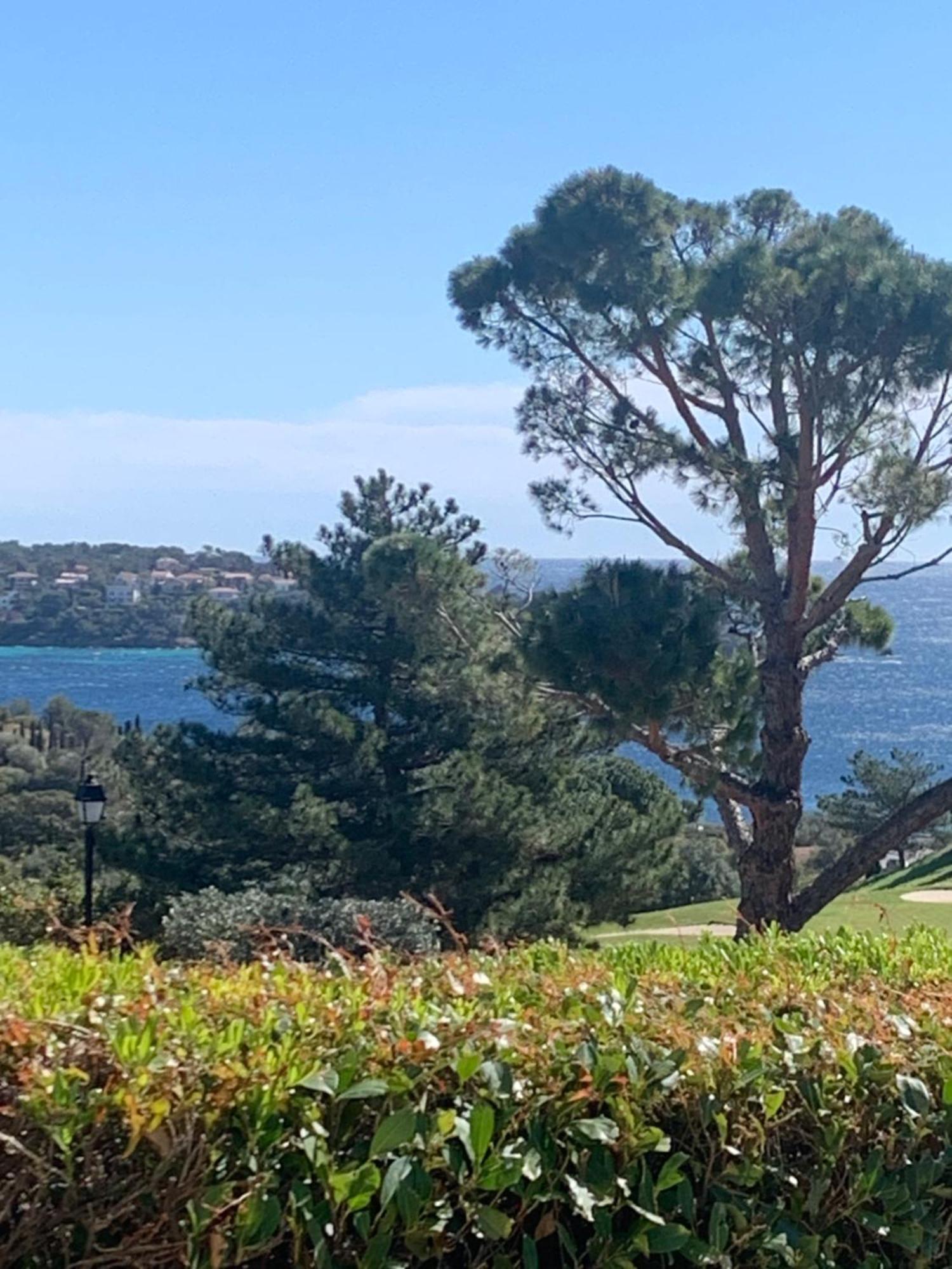 T2 En Rez De Jardin Privatif Cloture , Cap Esterel Pierre Et Vacances ,Piscine Chauffee Des Le 05 Avril Au 02 Novembre Saint-Raphaël Eksteriør billede