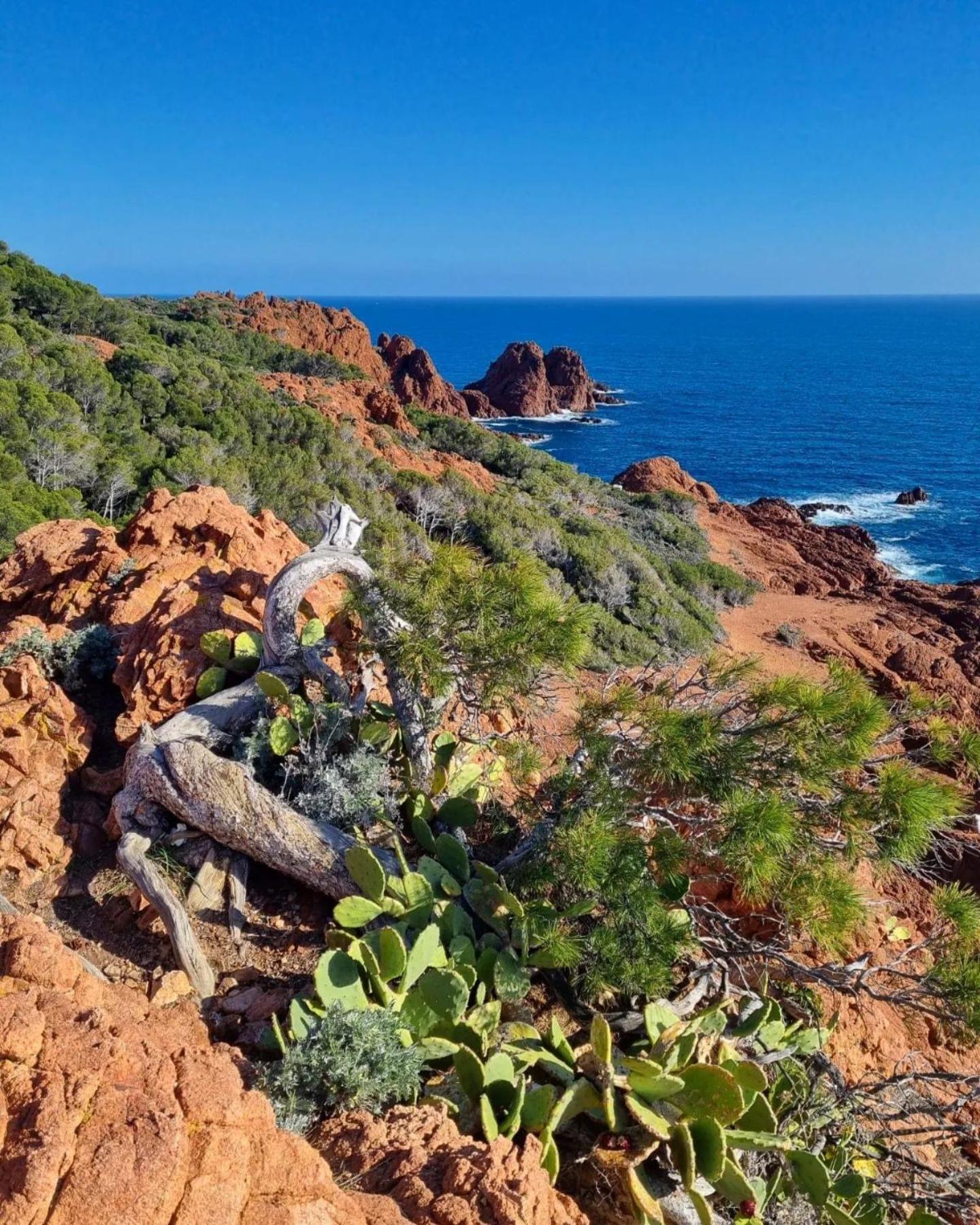 T2 En Rez De Jardin Privatif Cloture , Cap Esterel Pierre Et Vacances ,Piscine Chauffee Des Le 05 Avril Au 02 Novembre Saint-Raphaël Eksteriør billede